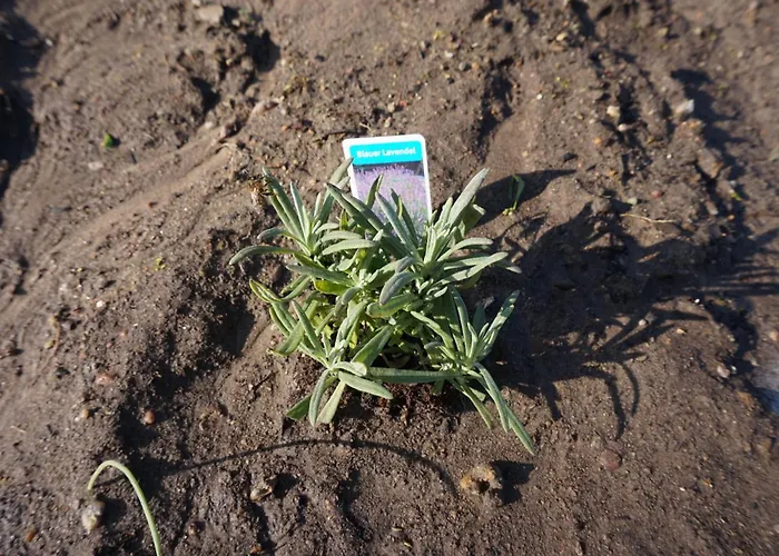 Lejlighed Eg Am Fluss Mit Terrasse - Eine Gruene Oase *