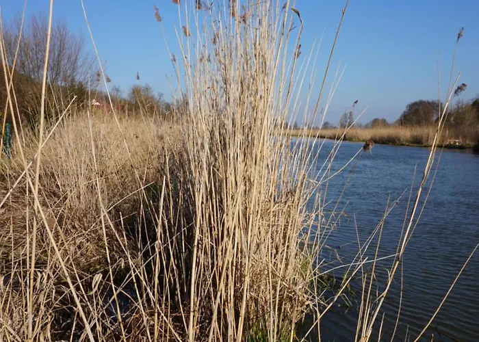 Lejlighed Eg Am Fluss Mit Terrasse - Eine Gruene Oase *