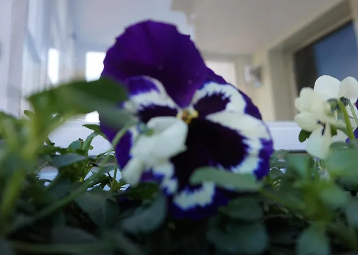 Eg Am Fluss Mit Terrasse - Eine Gruene Oase Lejlighed Bad Freienwalde